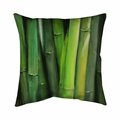 Begin Home Decor 26 x 26 in. Bamboo Plant-Double Sided Print Indoor Pillow 5541-2626-LA96